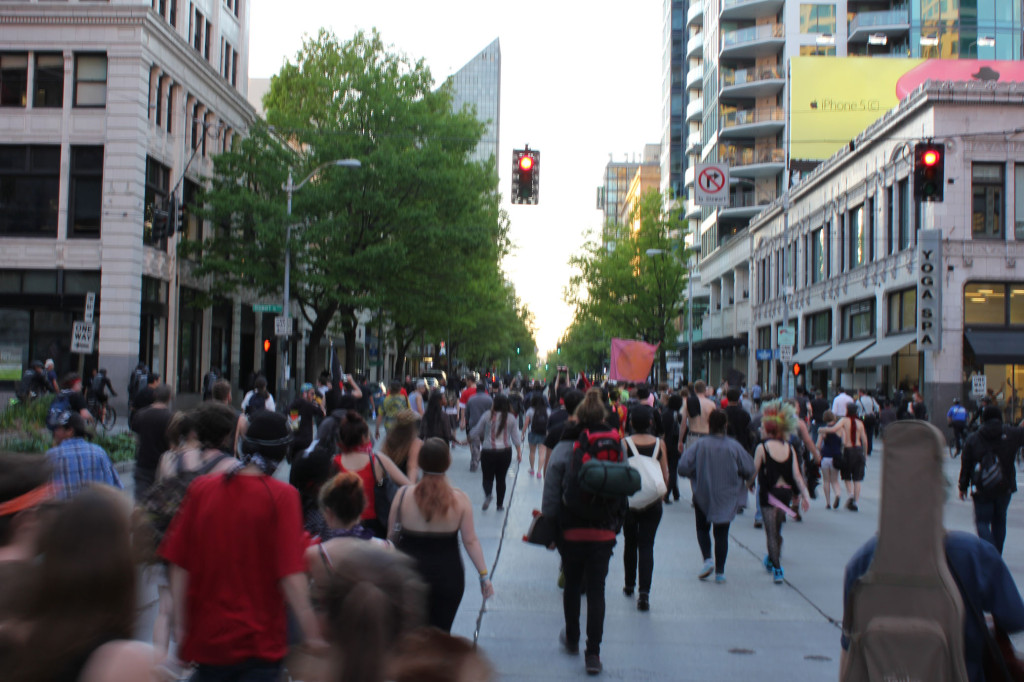 The Anti-Capitalist March began before sundown with several hundred people. In all, the march probably topped out at around five hundred people